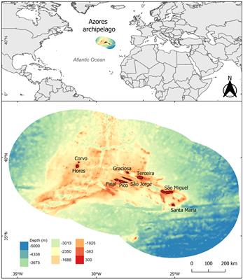 Long-term trends in functional diversity of exploited marine fish in the Azores’ archipelago: past and present